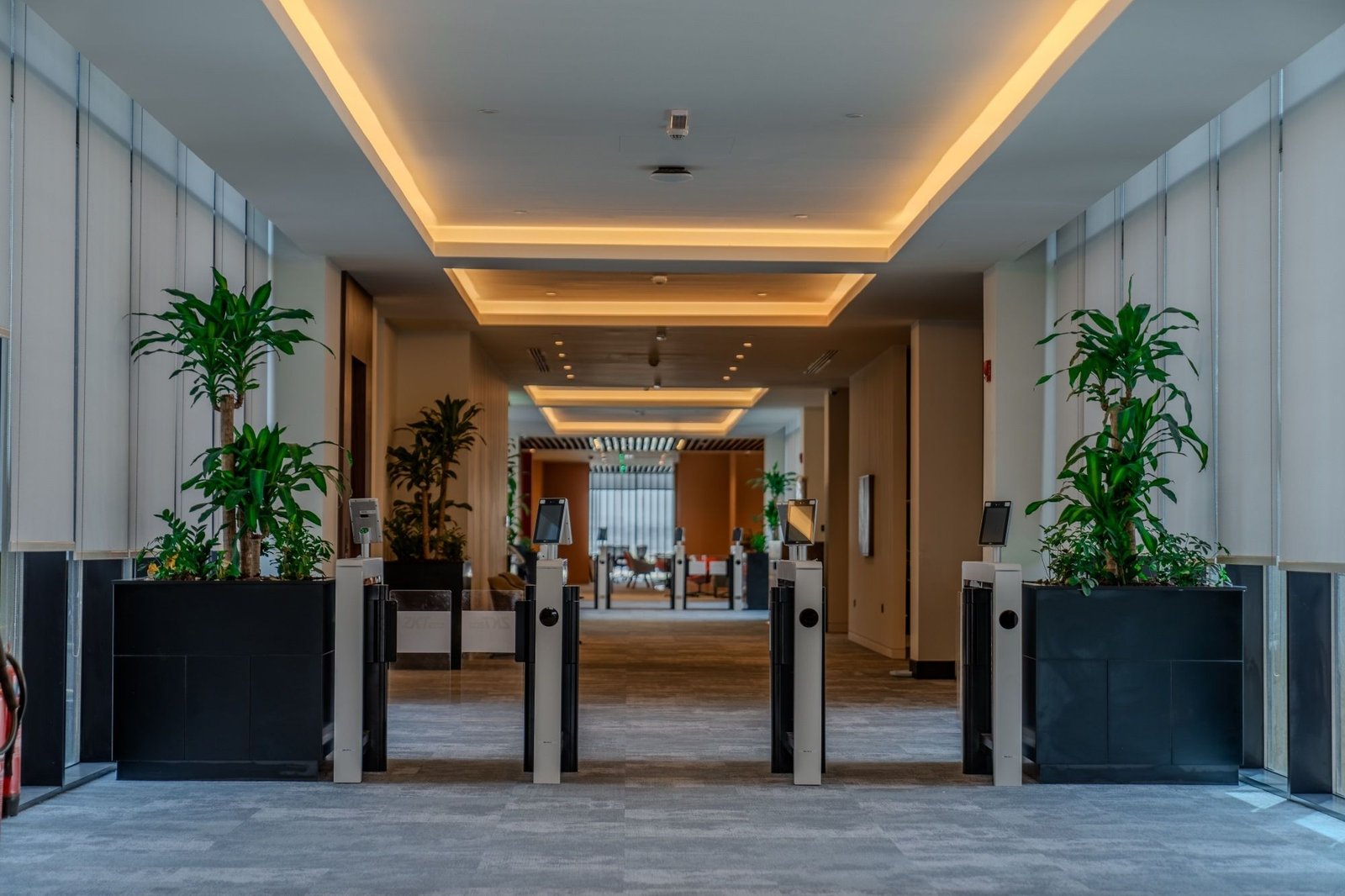 Modern Interior