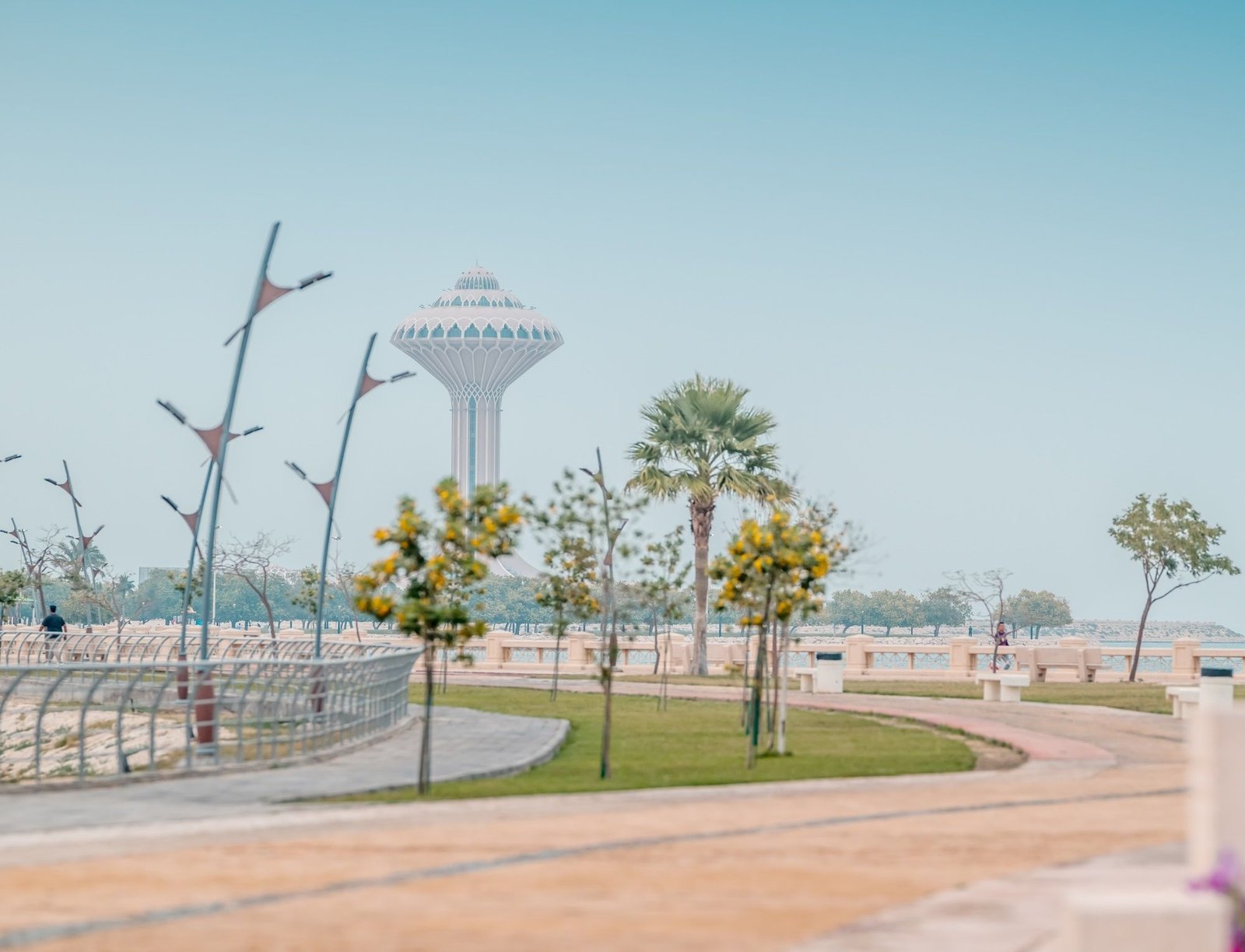 The Oasis Phase